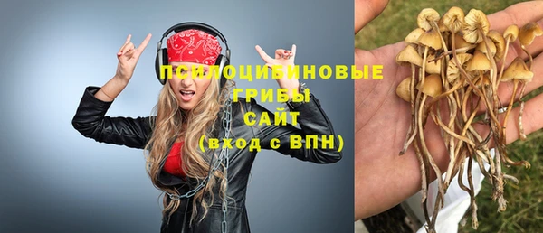 кокс Абаза