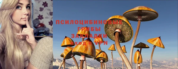гашиш Новодвинск