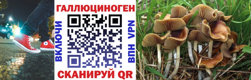 Галлюциногенные грибы мухоморы  Приморско-Ахтарск 